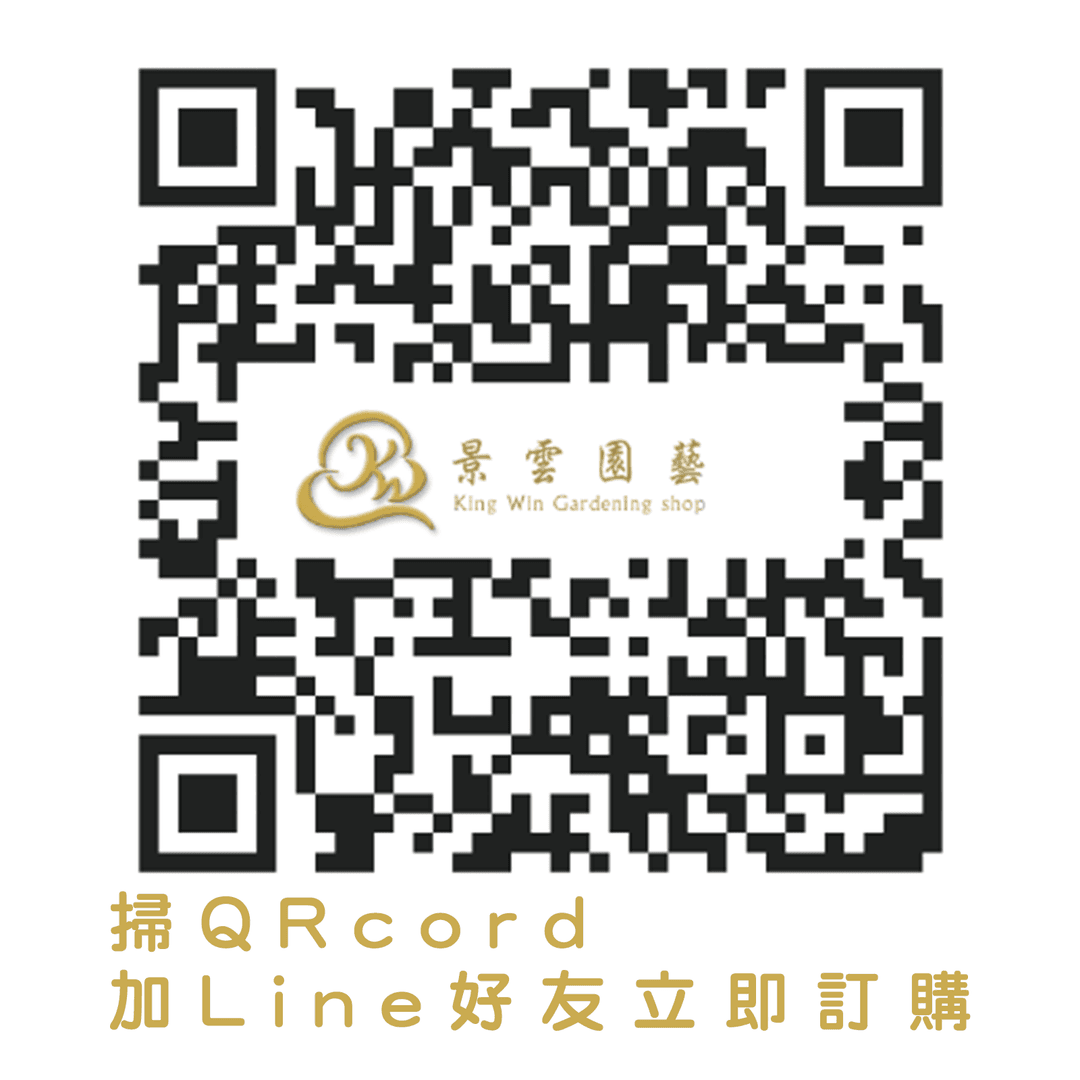 QR2.png